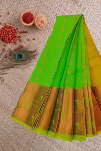 Handloom Kuppadam Saree with Jari Weaving